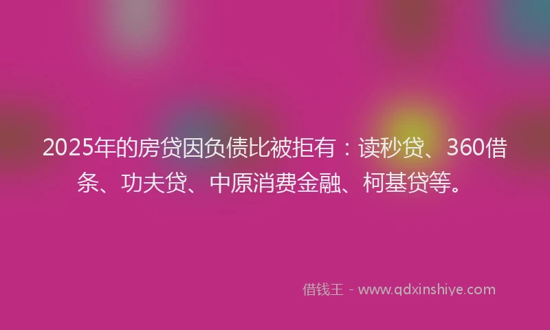 2025年的房贷因负债比被拒有：读秒贷、360借条、功夫贷、中原消费金融、柯基贷等。