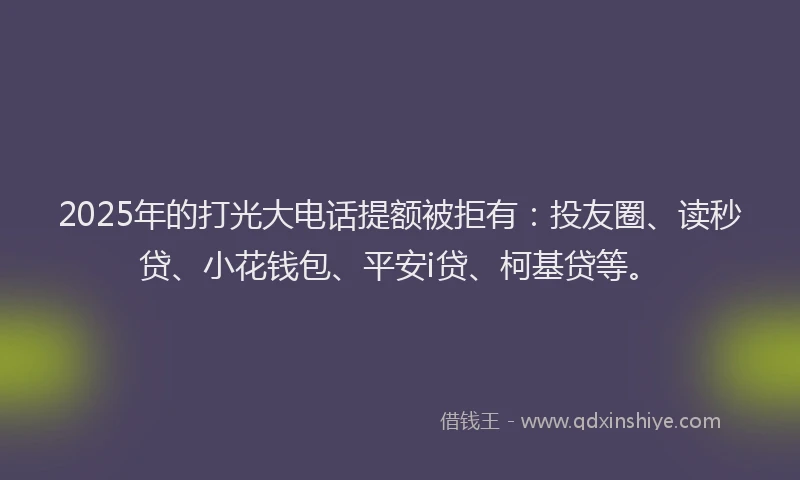 2025年的打光大电话提额被拒有：投友圈、读秒贷、小花钱包、平安i贷、柯基贷等。