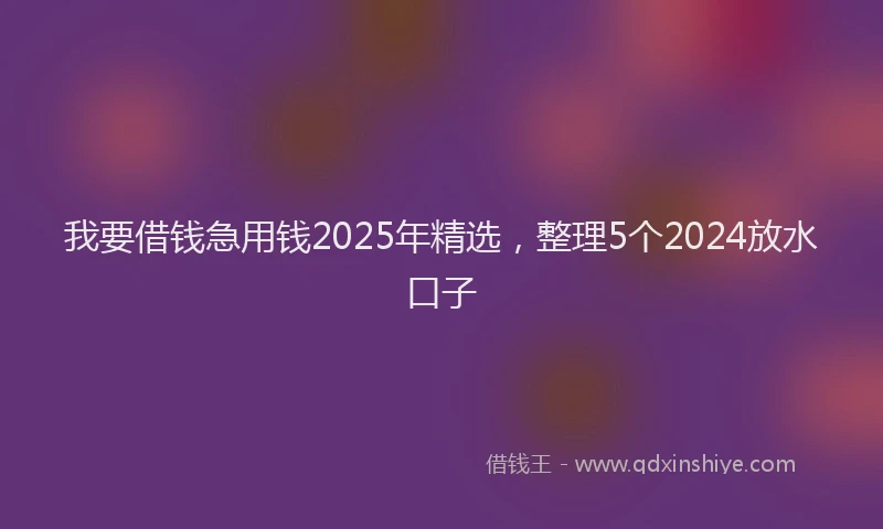 我要借钱急用钱2025年精选，整理5个2024放水口子