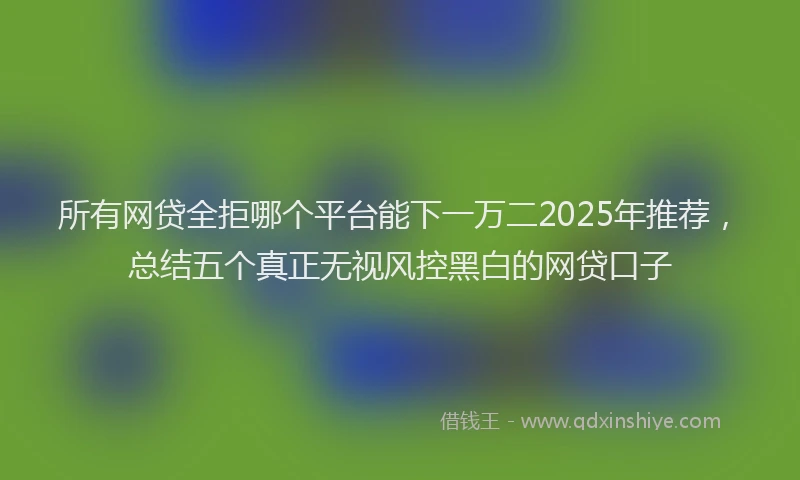 所有网贷全拒哪个平台能下一万二2025年推荐，总结五个真正无视风控黑白的网贷口子