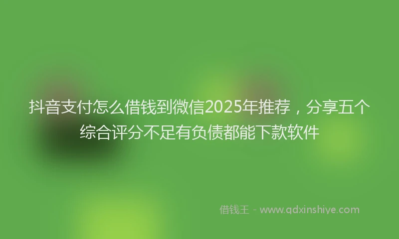 抖音支付怎么借钱到微信2025年推荐，分享五个综合评分不足有负债都能下款软件