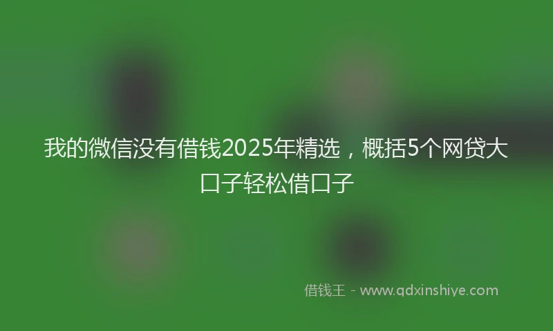 我的微信没有借钱2025年精选，概括5个网贷大口子轻松借口子