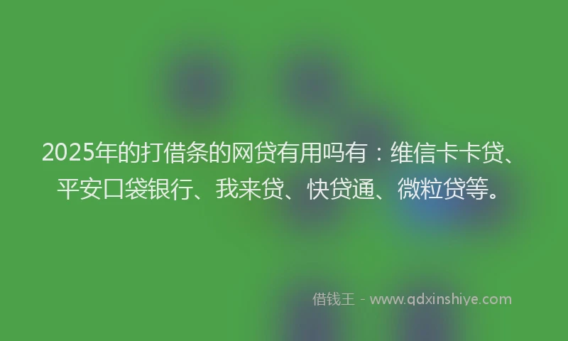 2025年的打借条的网贷有用吗有：维信卡卡贷、平安口袋银行、我来贷、快贷通、微粒贷等。
