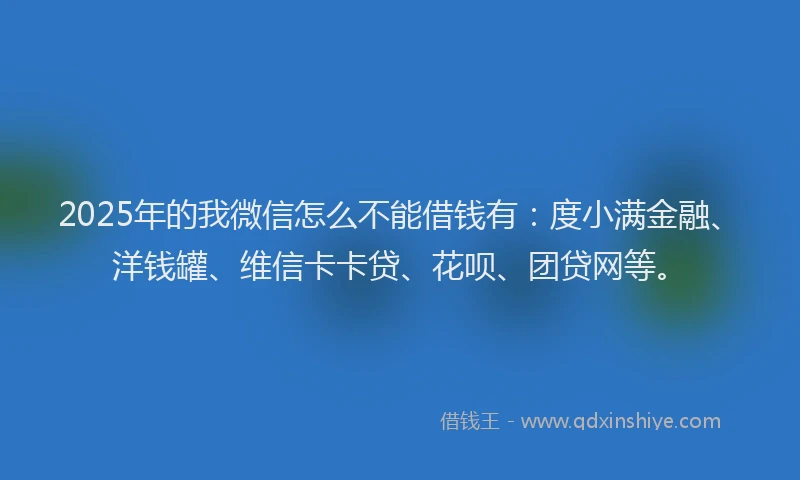 2025年的我微信怎么不能借钱有：度小满金融、洋钱罐、维信卡卡贷、花呗、团贷网等。