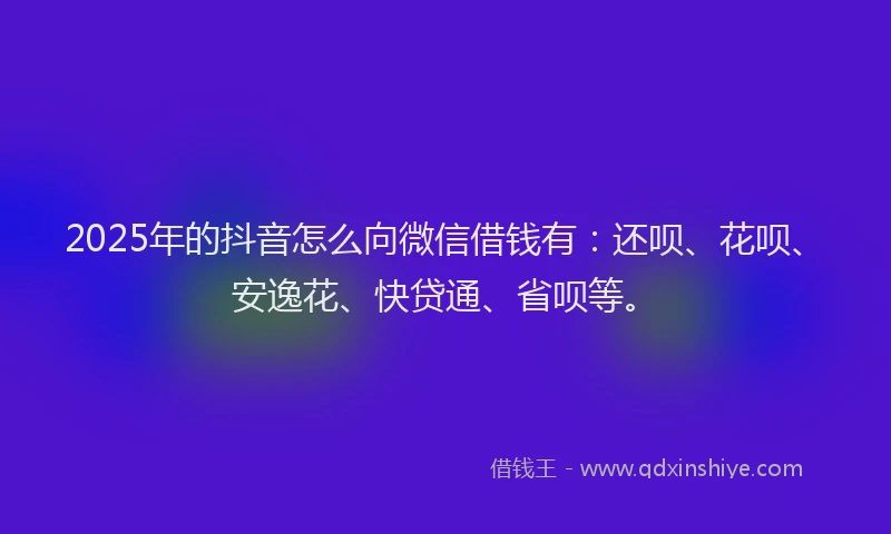 2025年的抖音怎么向微信借钱有：还呗、花呗、安逸花、快贷通、省呗等。