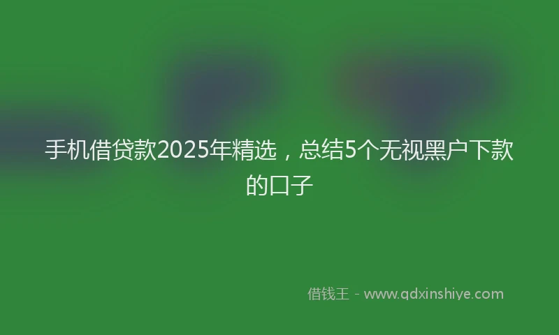 手机借贷款2025年精选，总结5个无视黑户下款的口子
