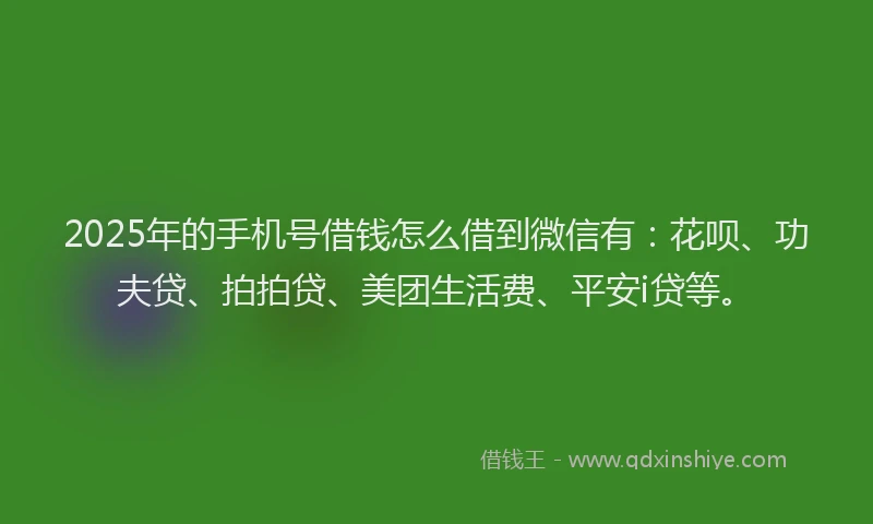 2025年的手机号借钱怎么借到微信有：花呗、功夫贷、拍拍贷、美团生活费、平安i贷等。