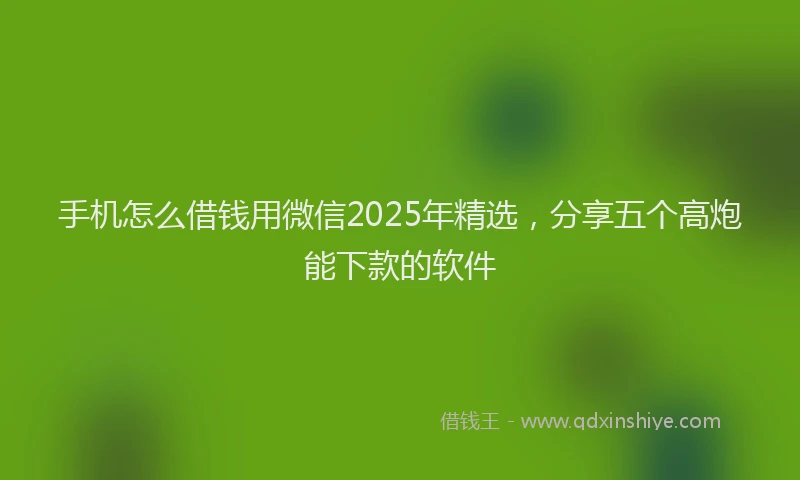 手机怎么借钱用微信2025年精选，分享五个高炮能下款的软件
