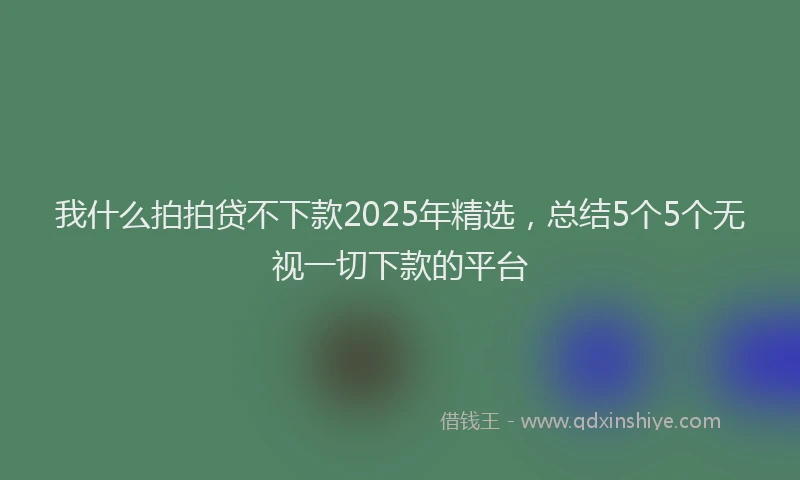 我什么拍拍贷不下款2025年精选，总结5个5个无视一切下款的平台