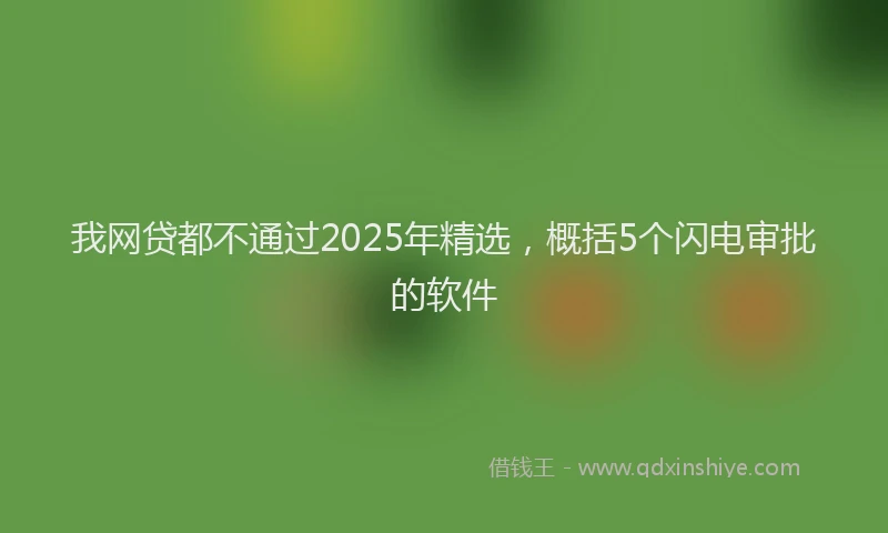 我网贷都不通过2025年精选，概括5个闪电审批的软件