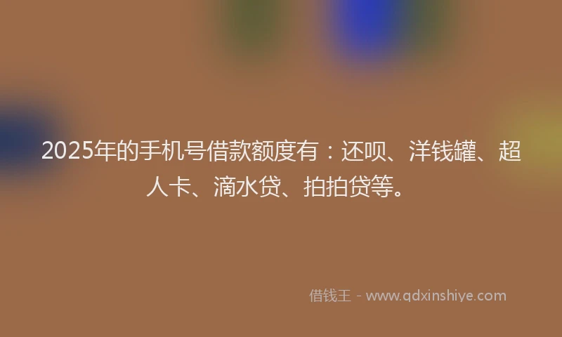 2025年的手机号借款额度有：还呗、洋钱罐、超人卡、滴水贷、拍拍贷等。