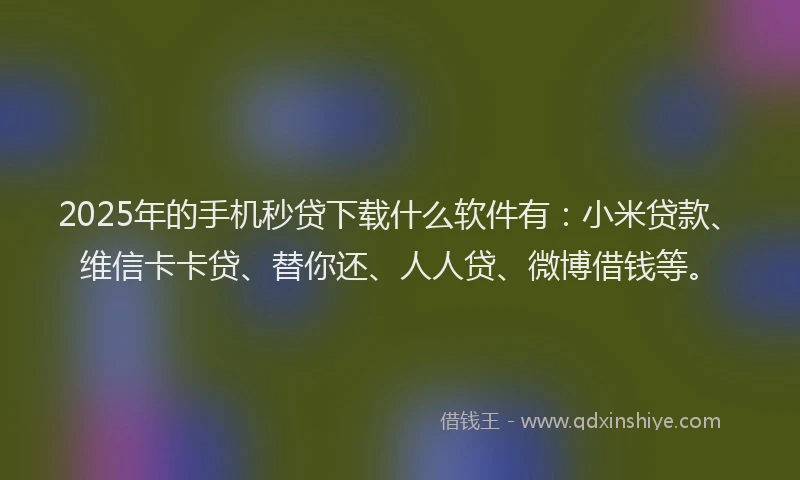 2025年的手机秒贷下载什么软件有：小米贷款、维信卡卡贷、替你还、人人贷、微博借钱等。
