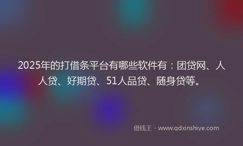 2025年的打借条平台有哪些软件有:团贷网、人人贷、好期贷、51人品贷、随身贷等。