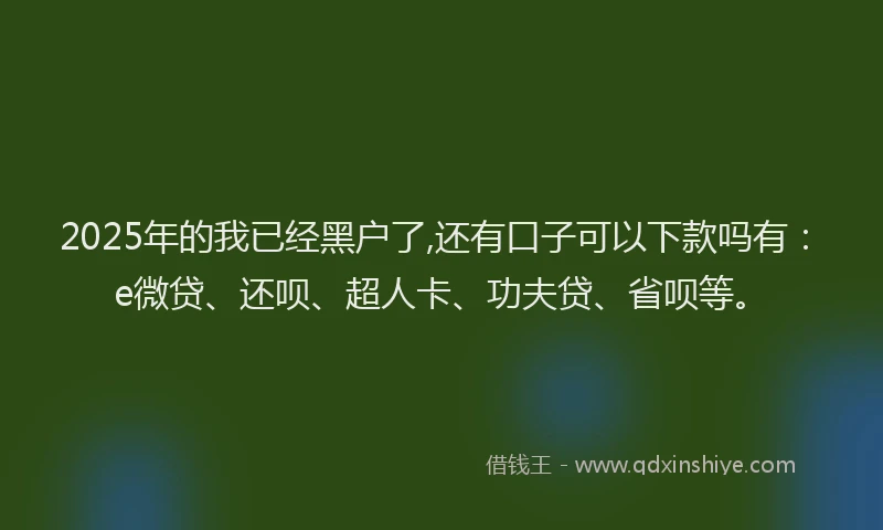 2025年的我已经黑户了,还有口子可以下款吗有：e微贷、还呗、超人卡、功夫贷、省呗等。