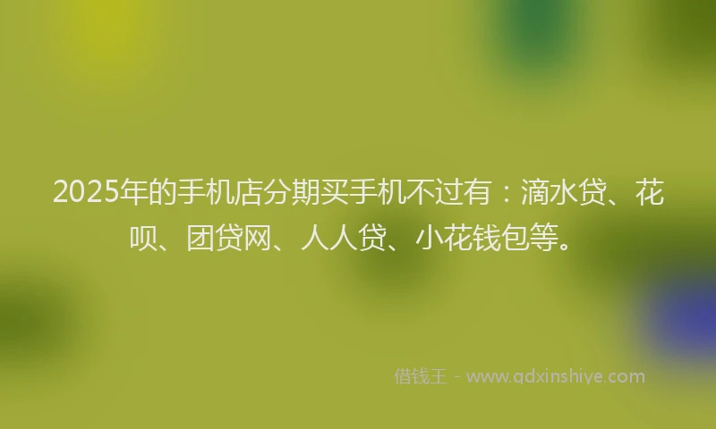 2025年的手机店分期买手机不过有：滴水贷、花呗、团贷网、人人贷、小花钱包等。