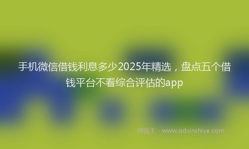 手机微信借钱利息多少2025年精选，盘点五个借钱平台不看综合评估的app