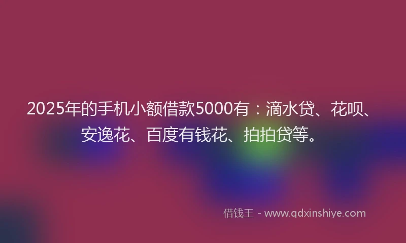 2025年的手机小额借款5000有：滴水贷、花呗、安逸花、百度有钱花、拍拍贷等。
