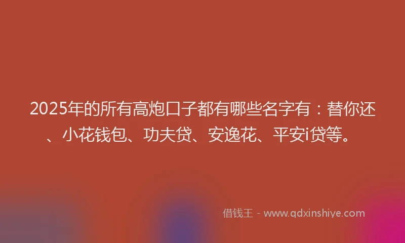 2025年的所有高炮口子都有哪些名字有：替你还、小花钱包、功夫贷、安逸花、平安i贷等。