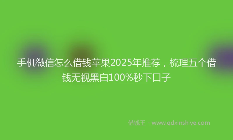 手机微信怎么借钱苹果2025年推荐，梳理五个借钱无视黑白100%秒下口子