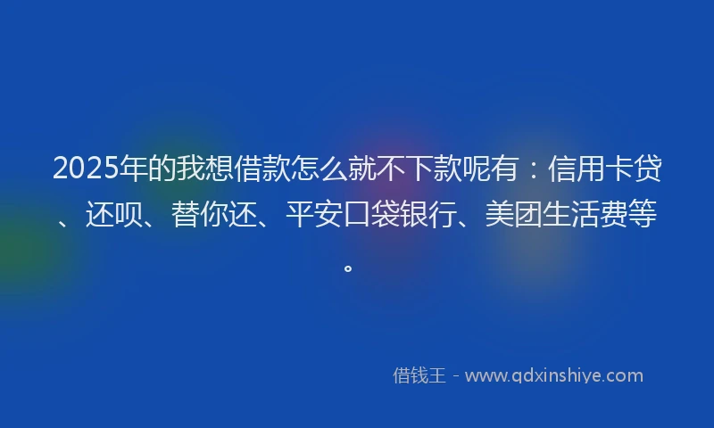 2025年的我想借款怎么就不下款呢有：信用卡贷、还呗、替你还、平安口袋银行、美团生活费等。
