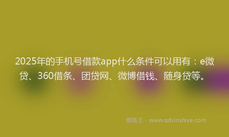 2025年的手机号借款app什么条件可以用有：e微贷、360借条、团贷网、微博借钱、随身贷等。