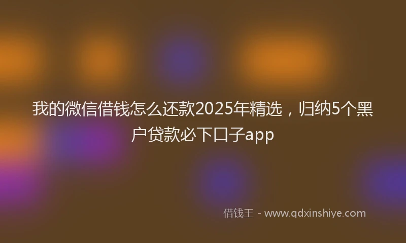 我的微信借钱怎么还款2025年精选，归纳5个黑户贷款必下口子app