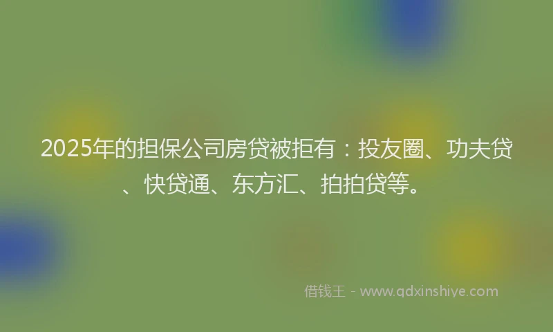 2025年的担保公司房贷被拒有:投友圈、功夫贷、快贷通、东方汇、拍拍贷等。