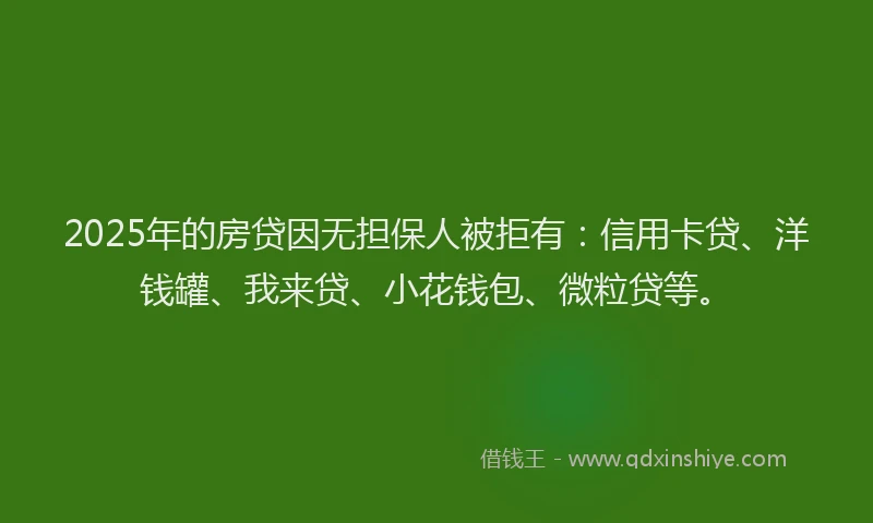2025年的房贷因无担保人被拒有：信用卡贷、洋钱罐、我来贷、小花钱包、微粒贷等。