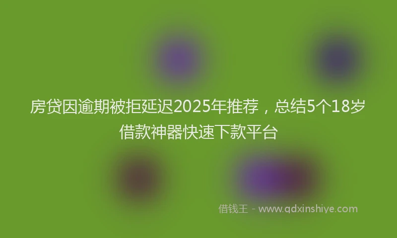 房贷因逾期被拒延迟2025年推荐，总结5个18岁借款神器快速下款平台