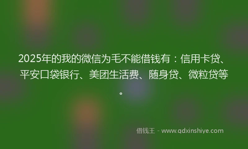 2025年的我的微信为毛不能借钱有：信用卡贷、平安口袋银行、美团生活费、随身贷、微粒贷等。