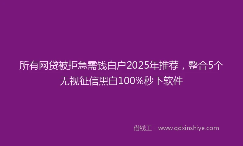 所有网贷被拒急需钱白户2025年推荐，整合5个无视征信黑白100%秒下软件