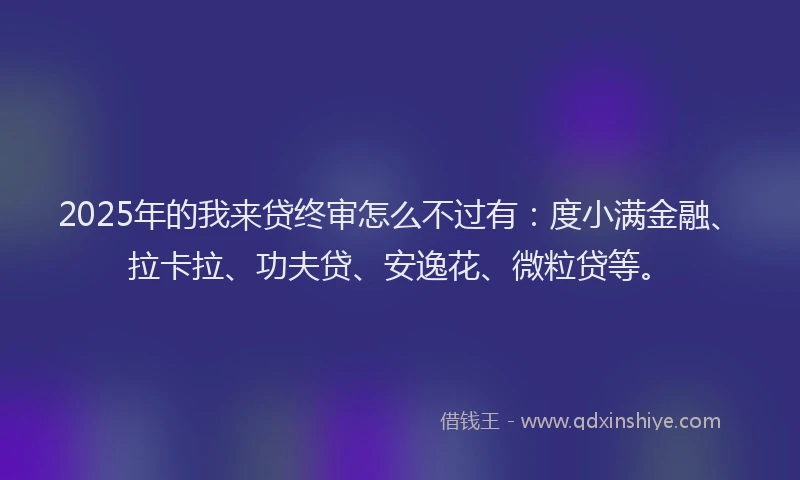 2025年的我来贷终审怎么不过有：度小满金融、拉卡拉、功夫贷、安逸花、微粒贷等。