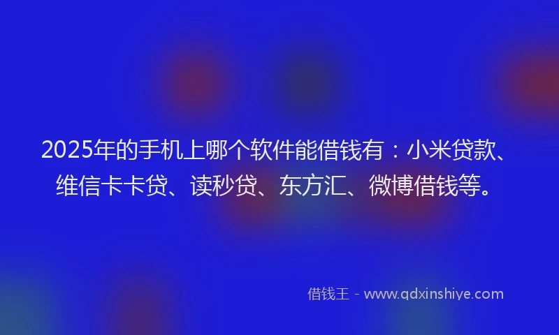 2025年的手机上哪个软件能借钱有：小米贷款、维信卡卡贷、读秒贷、东方汇、微博借钱等。