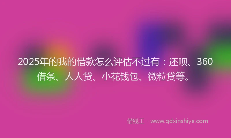 2025年的我的借款怎么评估不过有：还呗、360借条、人人贷、小花钱包、微粒贷等。
