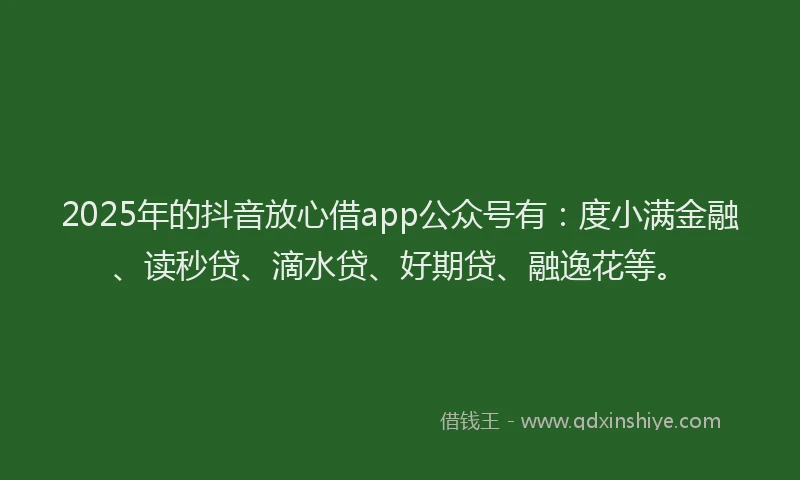 2025年的抖音放心借app公众号有：度小满金融、读秒贷、滴水贷、好期贷、融逸花等。