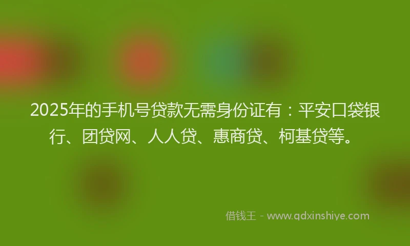2025年的手机号贷款无需身份证有：平安口袋银行、团贷网、人人贷、惠商贷、柯基贷等。