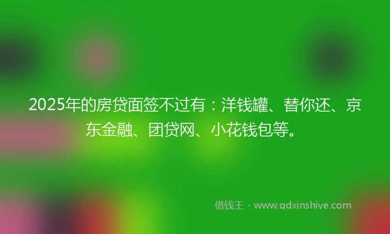 2025年的房贷面签不过有：洋钱罐、替你还、京东金融、团贷网、小花钱包等。