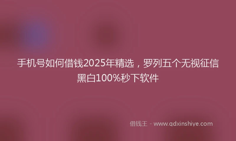 手机号如何借钱2025年精选，罗列五个无视征信黑白100%秒下软件
