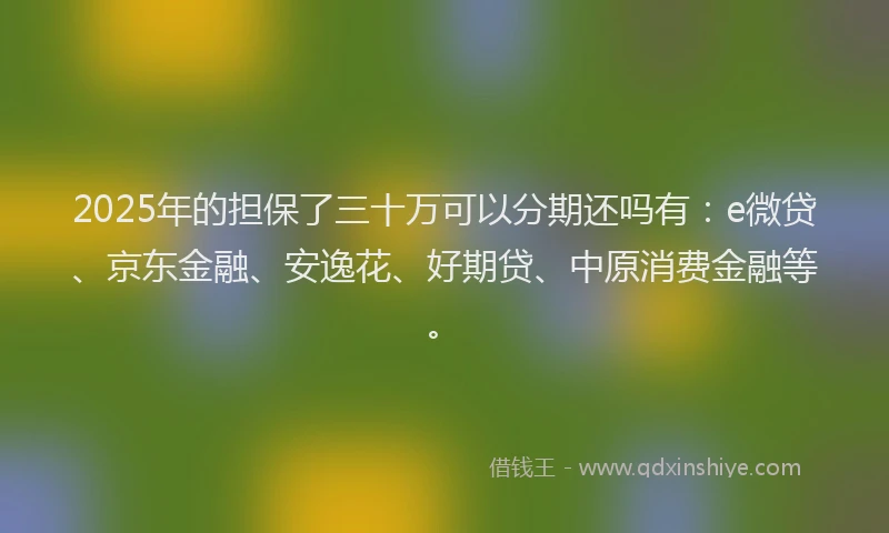 2025年的担保了三十万可以分期还吗有：e微贷、京东金融、安逸花、好期贷、中原消费金融等。