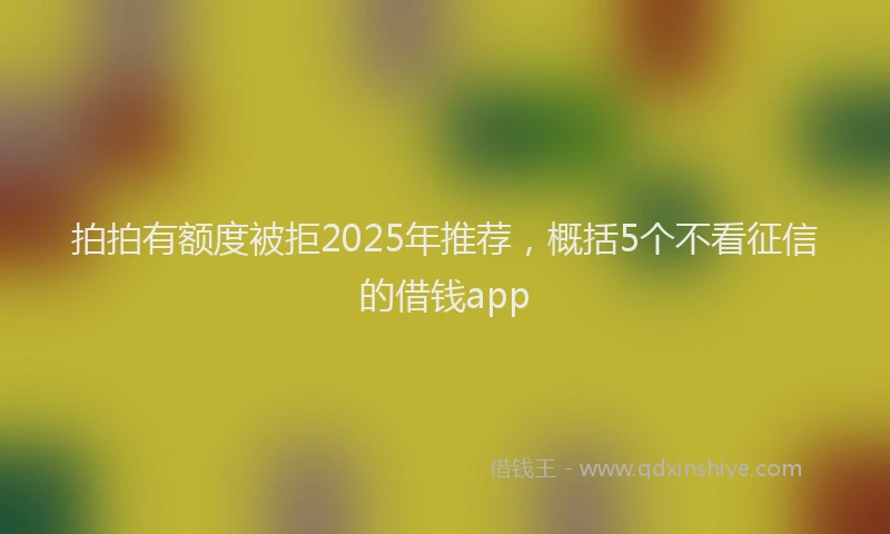 拍拍有额度被拒2025年推荐，概括5个不看征信的借钱app