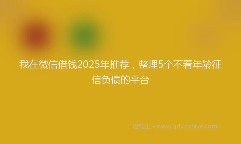 我在微信借钱2025年推荐，整理5个不看年龄征信负债的平台