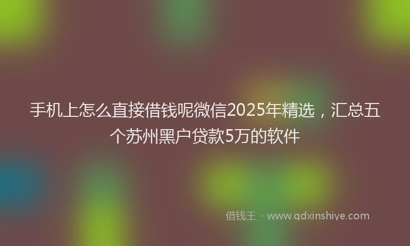 手机上怎么直接借钱呢微信2025年精选，汇总五个苏州黑户贷款5万的软件