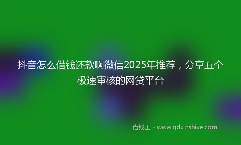 抖音怎么借钱还款啊微信2025年推荐，分享五个极速审核的网贷平台