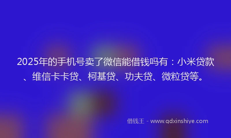 2025年的手机号卖了微信能借钱吗有：小米贷款、维信卡卡贷、柯基贷、功夫贷、微粒贷等。