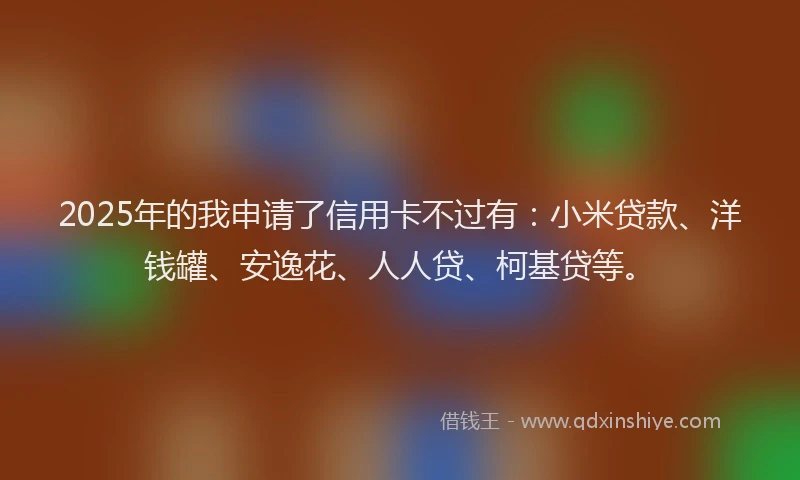2025年的我申请了信用卡不过有：小米贷款、洋钱罐、安逸花、人人贷、柯基贷等。