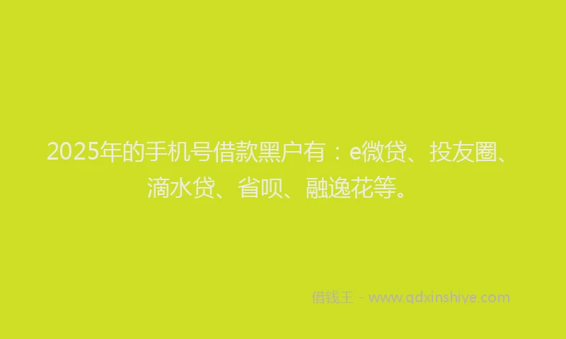 2025年的手机号借款黑户有：e微贷、投友圈、滴水贷、省呗、融逸花等。
