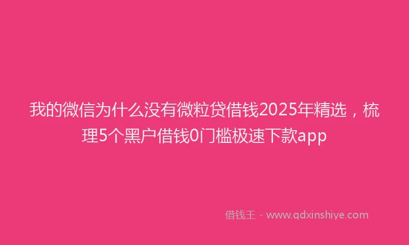 我的微信为什么没有微粒贷借钱2025年精选，梳理5个黑户借钱0门槛极速下款app