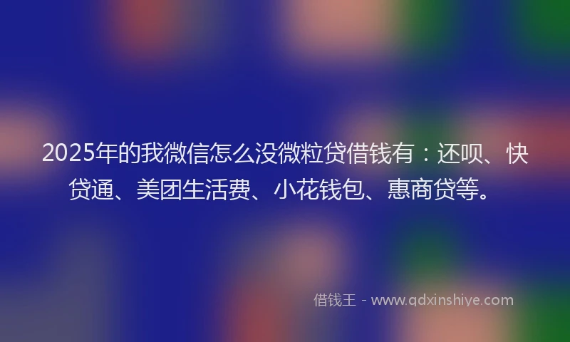 2025年的我微信怎么没微粒贷借钱有：还呗、快贷通、美团生活费、小花钱包、惠商贷等。