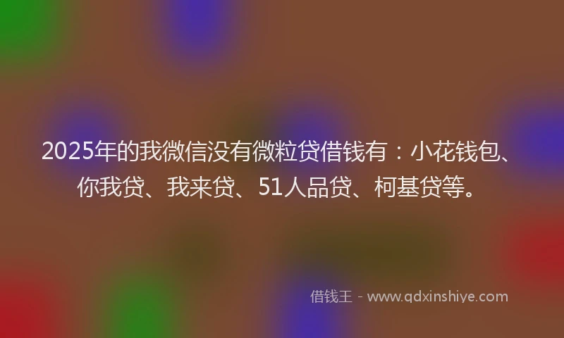 2025年的我微信没有微粒贷借钱有：小花钱包、你我贷、我来贷、51人品贷、柯基贷等。