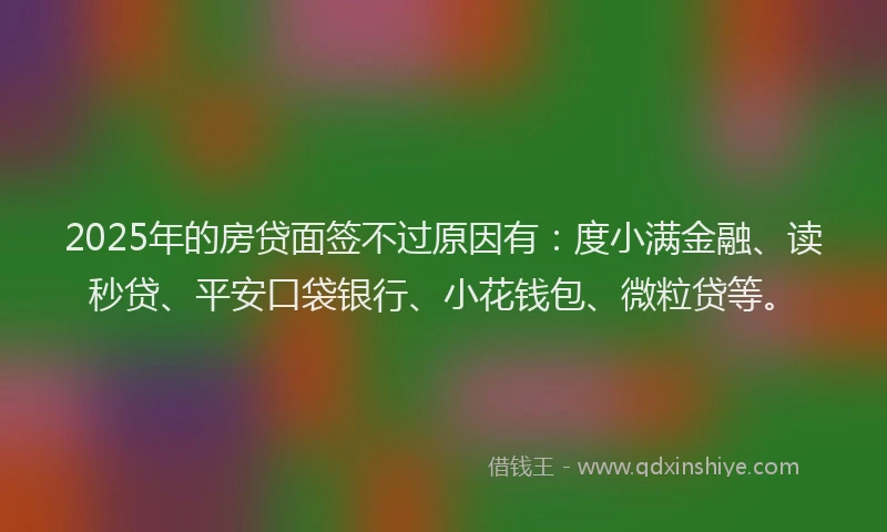 2025年的房贷面签不过原因有：度小满金融、读秒贷、平安口袋银行、小花钱包、微粒贷等。